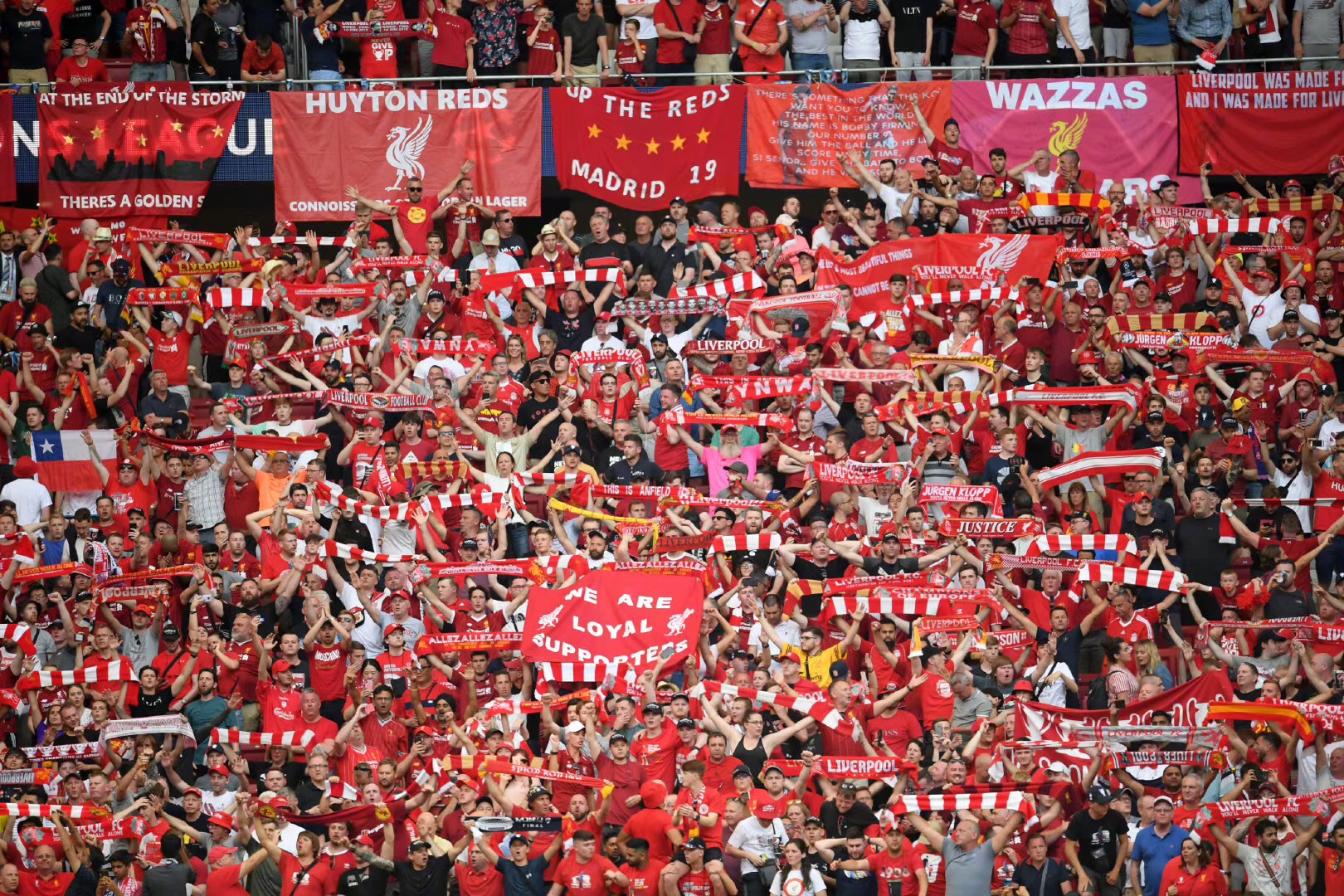 官方：前莱斯特城、诺丁汉森林主帅史蒂夫-库珀执教丹超布隆德比